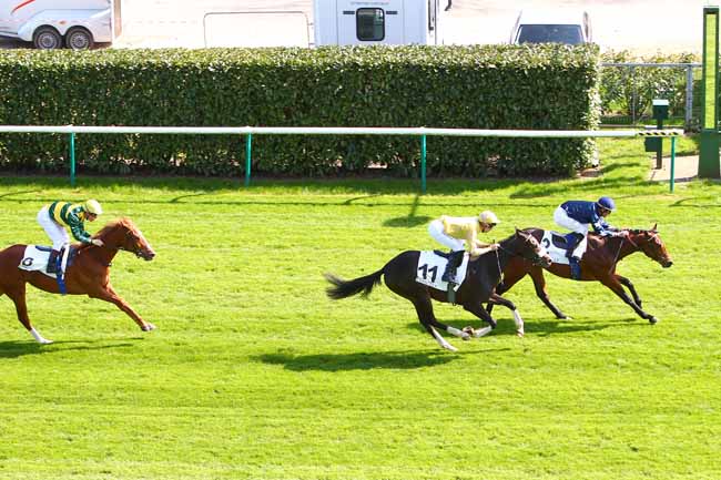 Photo d'arrivée de la course pmu PRIX DU PREMIER PAS à CHANTILLY le Mercredi 20 avril 2016