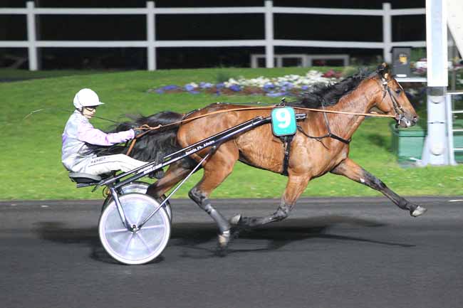Photo d'arrivée de la course pmu PRIX GASTON BRUNET à PARIS-VINCENNES le Vendredi 22 avril 2016
