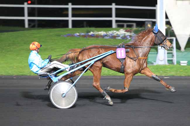 Photo d'arrivée de la course pmu PRIX PALMA à PARIS-VINCENNES le Vendredi 22 avril 2016