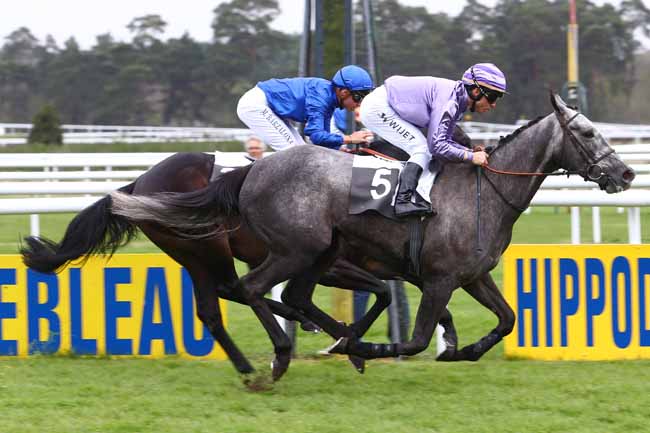 Photo d'arrivée de la course pmu PRIX DES BARNOLETS à FONTAINEBLEAU le Vendredi 22 avril 2016