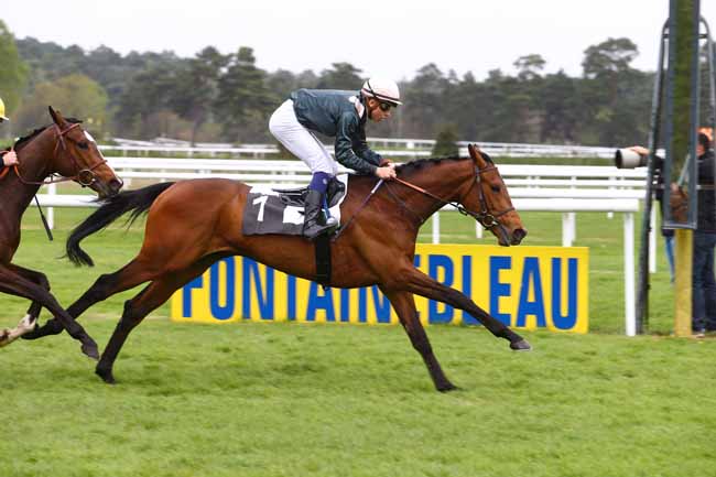 Photo d'arrivée de la course pmu PRIX DE LA PLAINE DES SABLONS à FONTAINEBLEAU le Vendredi 22 avril 2016
