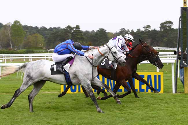 Photo d'arrivée de la course pmu PRIX COLONEL HEBRARD à FONTAINEBLEAU le Vendredi 22 avril 2016