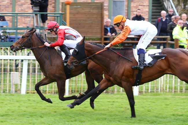 Photo d'arrivée de la course pmu PRIX DE MORET-SUR-LOING à FONTAINEBLEAU le Vendredi 22 avril 2016