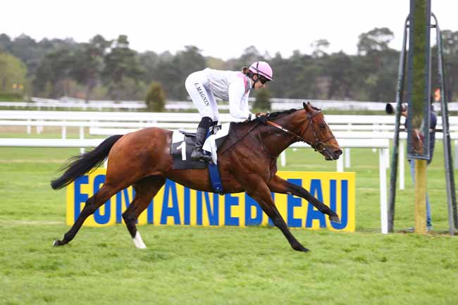 Photo d'arrivée de la course pmu PRIX DES SAULES à FONTAINEBLEAU le Vendredi 22 avril 2016