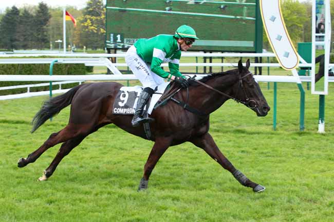 Photo d'arrivée de la course pmu PRIX DU CARNOIS à COMPIEGNE le Samedi 23 avril 2016