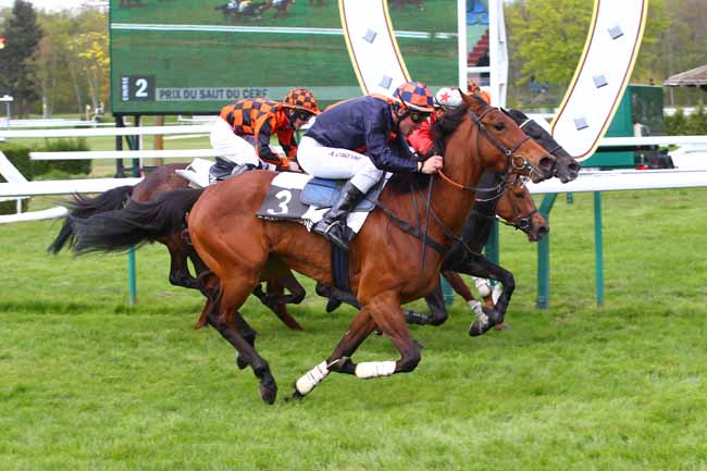 Photo d'arrivée de la course pmu PRIX DU SAUT DU CERF à COMPIEGNE le Samedi 23 avril 2016