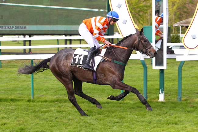 Photo d'arrivée de la course pmu PRIX KAP DREAM à COMPIEGNE le Samedi 23 avril 2016