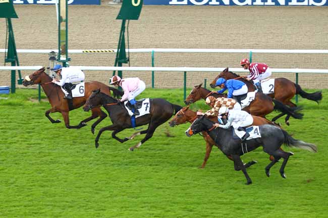 Photo d'arrivée de la course pmu PRIX FINLANDE à CHANTILLY le Dimanche 24 avril 2016