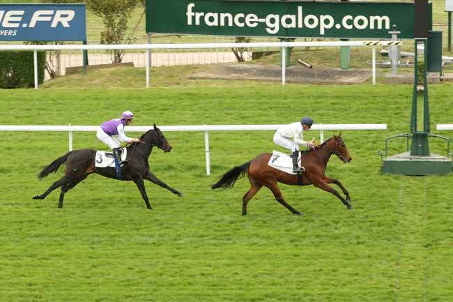 Photo d'arrivée de la course pmu PRIX SYLVAN à SAINT-CLOUD le Lundi 25 avril 2016