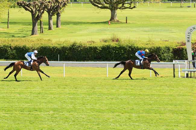 Photo d'arrivée de la course pmu PRIX MAGISTER à MAISONS-LAFFITTE le Mardi 26 avril 2016