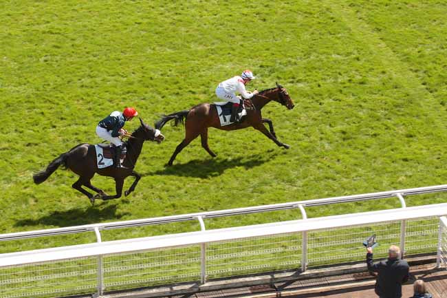 Photo d'arrivée de la course pmu PRIX SICIE à AUTEUIL le Mercredi 27 avril 2016