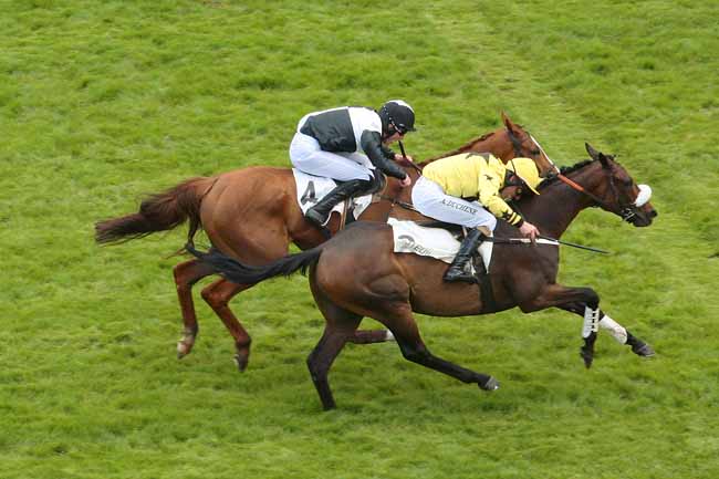 Photo d'arrivée de la course pmu PRIX WILLIAM HEAD à AUTEUIL le Mercredi 27 avril 2016