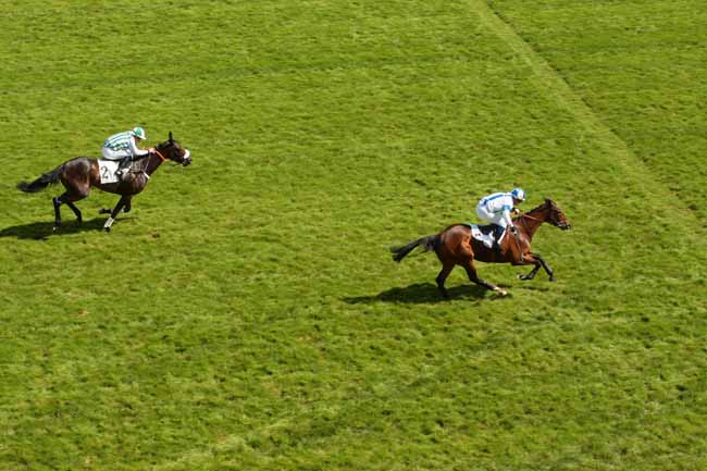 Photo d'arrivée de la course pmu PRIX DES CHARENTES à AUTEUIL le Mercredi 27 avril 2016
