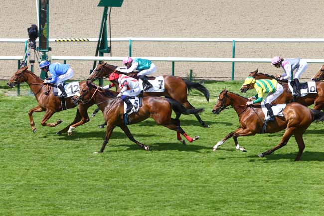 Photo d'arrivée de la course pmu PRIX ALLEZ FRANCE à CHANTILLY le Jeudi 28 avril 2016