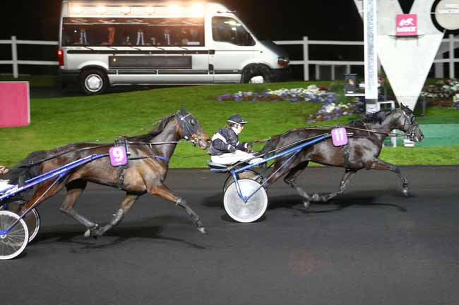 Photo d'arrivée de la course pmu PRIX REGINA à PARIS-VINCENNES le Vendredi 29 avril 2016