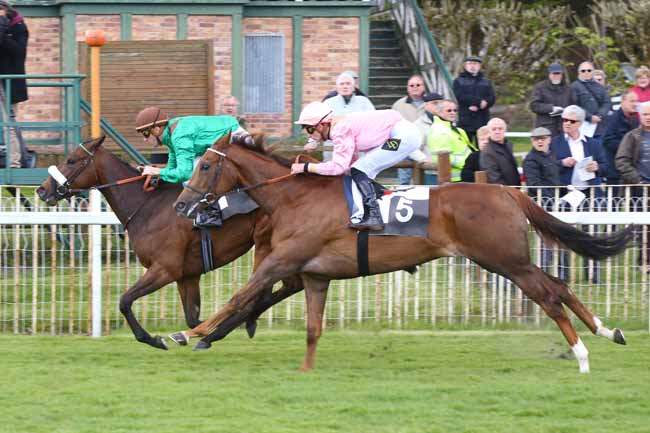 Photo d'arrivée de la course pmu PRIX DE SAMOIS-SUR-SEINE à FONTAINEBLEAU le Vendredi 29 avril 2016