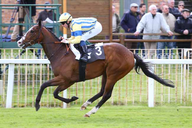 Photo d'arrivée de la course pmu PRIX DE VULAINES-SUR-SEINE à FONTAINEBLEAU le Vendredi 29 avril 2016