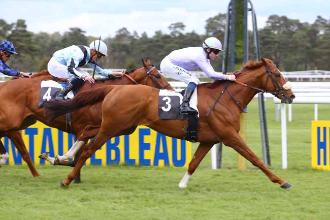 Photo d'arrivée de la course pmu PRIX DE L'AUTOROUTE DU SOLEIL à FONTAINEBLEAU le Vendredi 29 avril 2016
