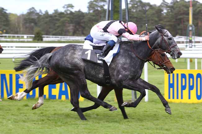 Photo d'arrivée de la course pmu PRIX DU CONSEIL DEPARTEMENTAL DE SEINE-ET-MARNE à FONTAINEBLEAU le Vendredi 29 avril 2016