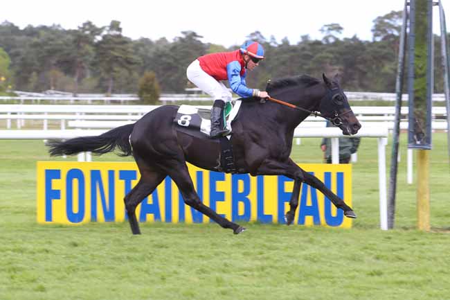 Photo d'arrivée de la course pmu PRIX DE SAMOREAU à FONTAINEBLEAU le Vendredi 29 avril 2016