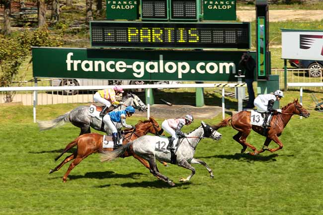 Photo d'arrivée de la course pmu PRIX DE LA JALLE à SAINT-CLOUD le Dimanche 1 mai 2016