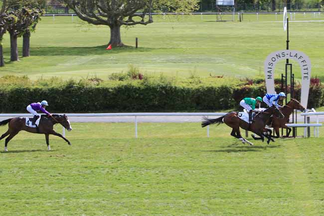 Photo d'arrivée de la course pmu PRIX MENDEZ à MAISONS-LAFFITTE le Lundi 2 mai 2016