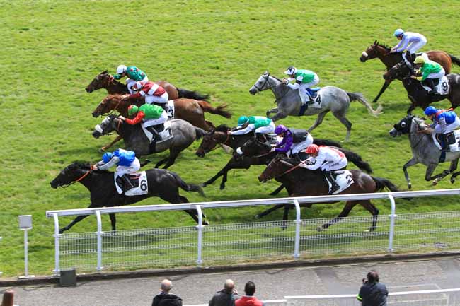 Photo d'arrivée de la course pmu PRIX DE L'ILE-DE-FRANCE à MAISONS-LAFFITTE le Lundi 2 mai 2016
