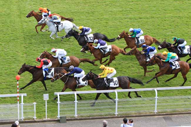 Photo d'arrivée de la course pmu PRIX DE HAUTE-NORMANDIE à MAISONS-LAFFITTE le Lundi 2 mai 2016