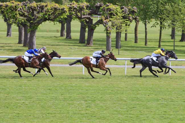 Photo d'arrivée de la course pmu PRIX NUBIENNE à MAISONS-LAFFITTE le Lundi 2 mai 2016