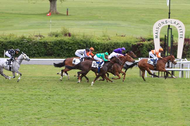 Photo d'arrivée de la course pmu PRIX D'ACHERES à MAISONS-LAFFITTE le Lundi 2 mai 2016
