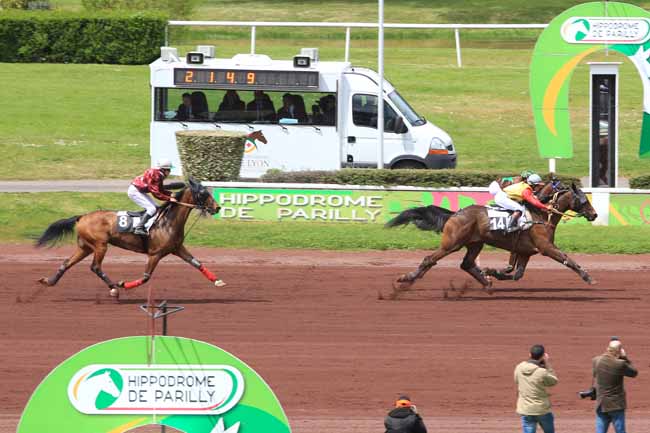 Photo d'arrivée de la course pmu PRIX DU MORBIHAN à LYON-PARILLY le Mardi 3 mai 2016