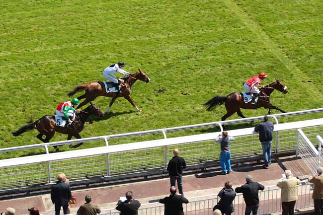 Photo d'arrivée de la course pmu PRIX WILD MONARCH à AUTEUIL le Mercredi 4 mai 2016