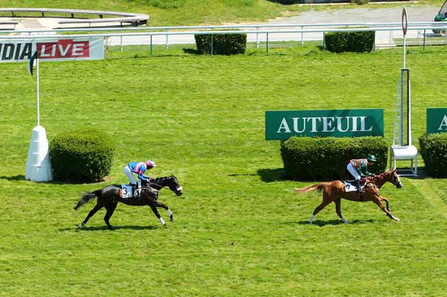 Photo d'arrivée de la course pmu PRIX JEAN DE LA ROCHEFOUCAULD à AUTEUIL le Mercredi 4 mai 2016