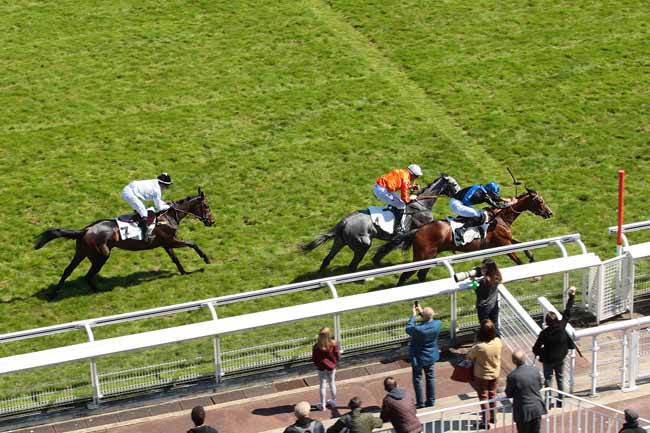 Photo d'arrivée de la course pmu PRIX GIROFLA à AUTEUIL le Mercredi 4 mai 2016