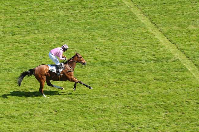 Photo d'arrivée de la course pmu PRIX MAUBOURGUET à AUTEUIL le Mercredi 4 mai 2016