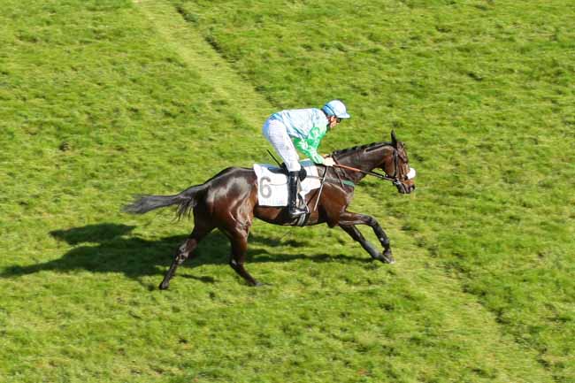 Photo d'arrivée de la course pmu PRIX UBU III à AUTEUIL le Mercredi 4 mai 2016