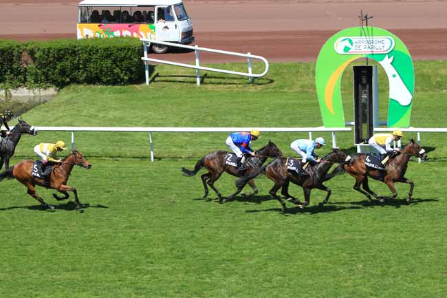 Photo d'arrivée de la course pmu PRIX DE ROUVRES à LYON-PARILLY le Jeudi 5 mai 2016