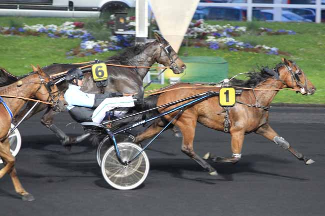 Photo d'arrivée de la course pmu PRIX IDA à PARIS-VINCENNES le Vendredi 6 mai 2016
