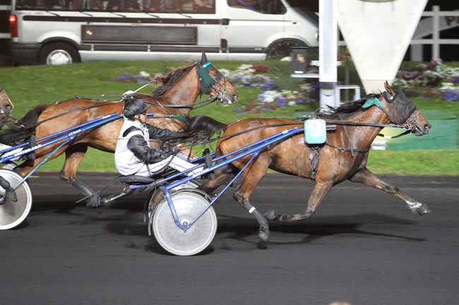 Photo d'arrivée de la course pmu PRIX MARSIK à PARIS-VINCENNES le Vendredi 6 mai 2016