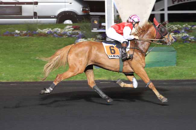 Photo d'arrivée de la course pmu PRIX ASIA à PARIS-VINCENNES le Vendredi 6 mai 2016