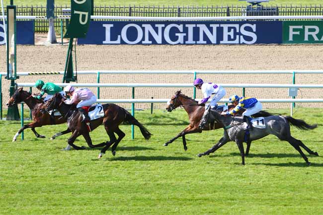 Photo d'arrivée de la course pmu PRIX DE L'ETANG NEUF à CHANTILLY le Vendredi 6 mai 2016