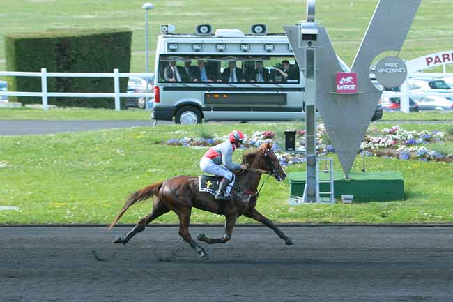 Photo d'arrivée de la course pmu PRIX D'ARPAJON à PARIS-VINCENNES le Samedi 7 mai 2016