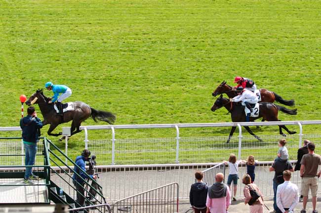 Photo d'arrivée de la course pmu PRIX DE CHANTELOUP à MAISONS-LAFFITTE le Samedi 7 mai 2016
