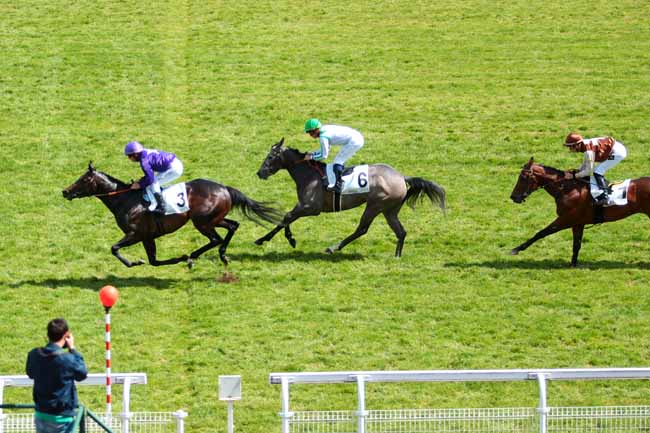 Photo d'arrivée de la course pmu PRIX DU VESINET à MAISONS-LAFFITTE le Samedi 7 mai 2016