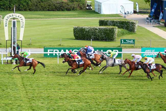Photo d'arrivée de la course pmu PRIX DE L'ETOILE D'ARTOIS à MAISONS-LAFFITTE le Samedi 7 mai 2016