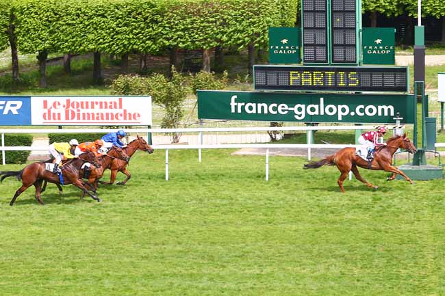 Photo d'arrivée de la course pmu PRIX DU BOIS ROUAUD à SAINT-CLOUD le Dimanche 8 mai 2016