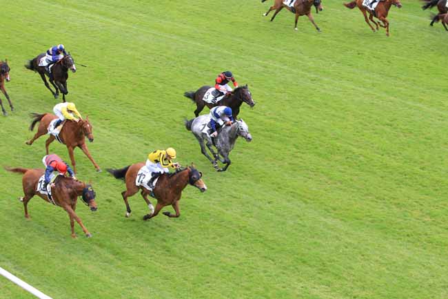 Photo d'arrivée de la course pmu PRIX DE ROISSY à CHANTILLY le Lundi 9 mai 2016