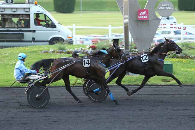 Photo d'arrivée de la course pmu PRIX DIPHDA à PARIS-VINCENNES le Vendredi 13 mai 2016