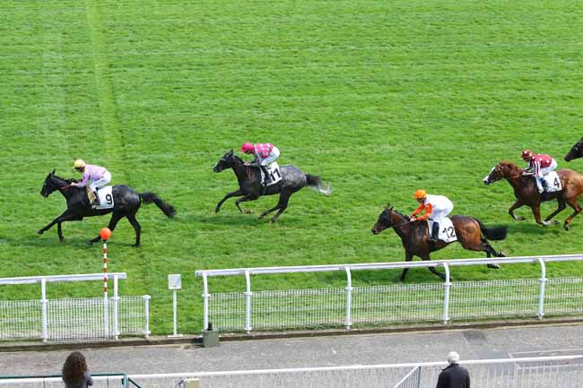 Photo d'arrivée de la course pmu PRIX DES CAVES DU NORD à MAISONS-LAFFITTE le Vendredi 13 mai 2016
