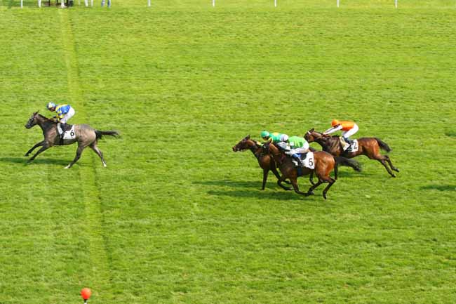 Photo d'arrivée de la course pmu PRIX DE LA PLACE MARINE à MAISONS-LAFFITTE le Vendredi 13 mai 2016
